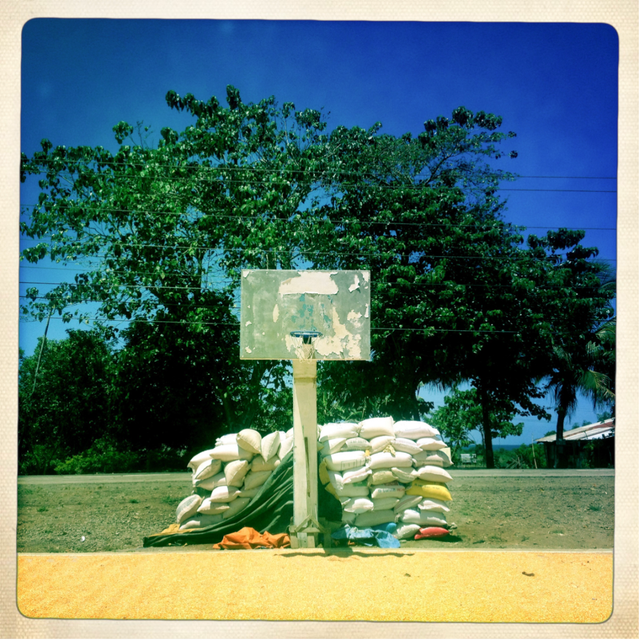 Jake Verzosa Basketball Landscapes